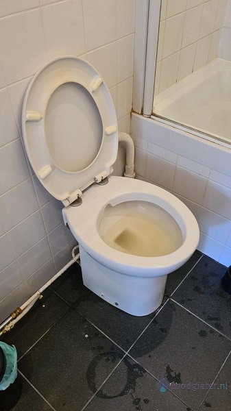 verstopping toilet Kerkdriel